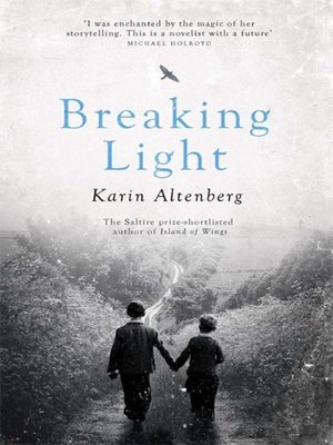 cover image of Breaking Light